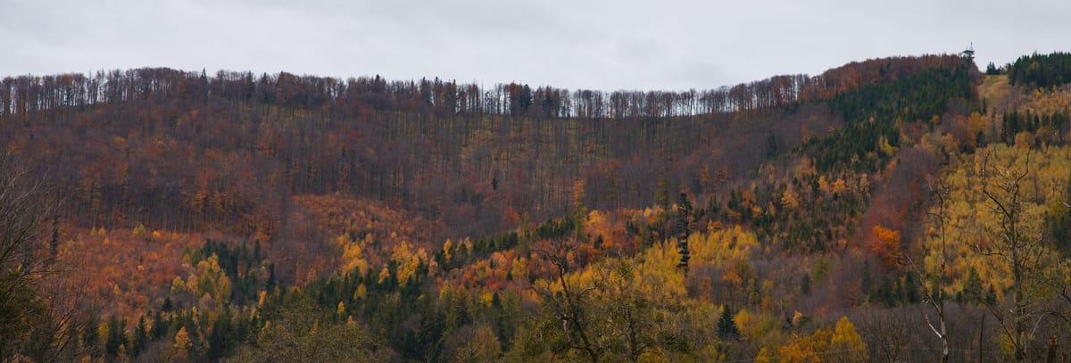 Fojství Oldřichovice - prostředí